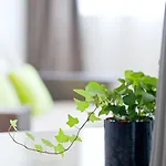 Apartmanhotel Teneo - Arthena Talence