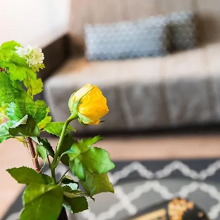 Ténéo - Centre Aparthotel