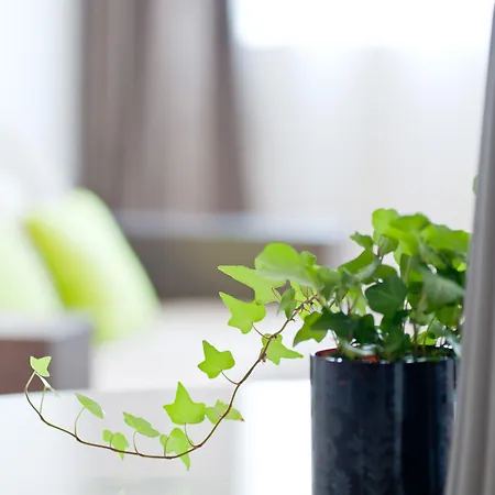 מלון דירות Teneo - Arthena טלנס