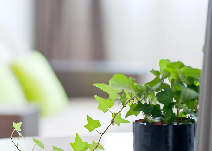 Lejlighedshotel Teneo - Arthena Talence